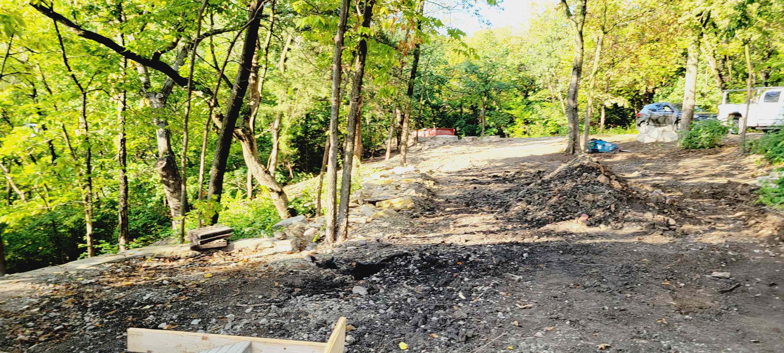Woodland Restoration
