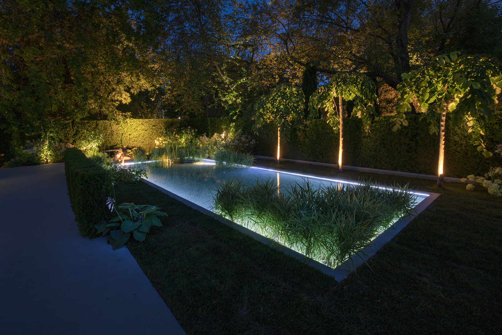 Сад Оксаны Хебородовой Гран-При на Москоу Флауер Шоу ( "Cад Вячеслава Зайцева")