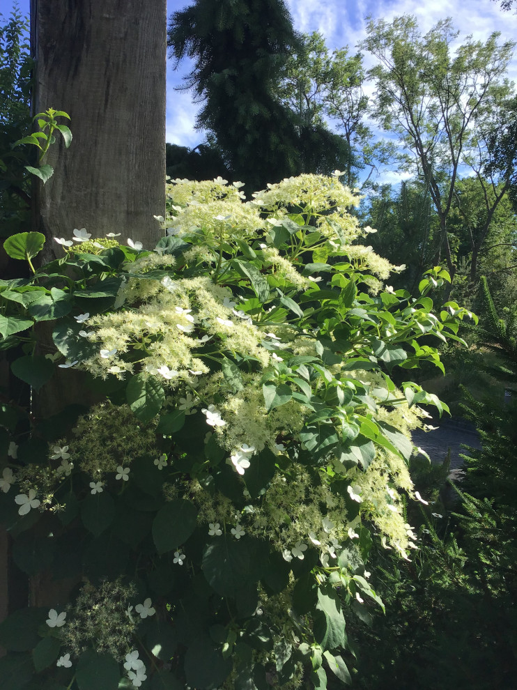 Сад натуралистического стиля