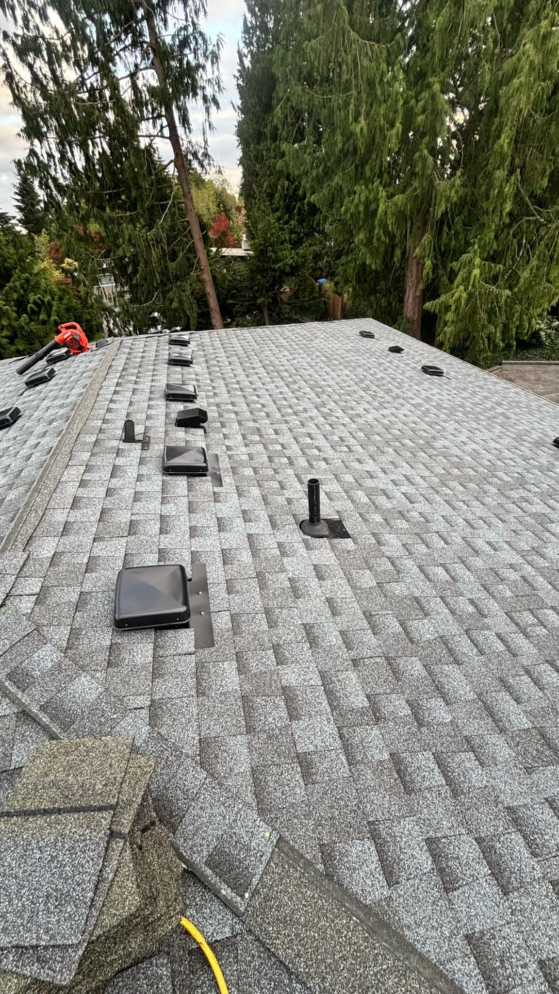 Roof Replacement