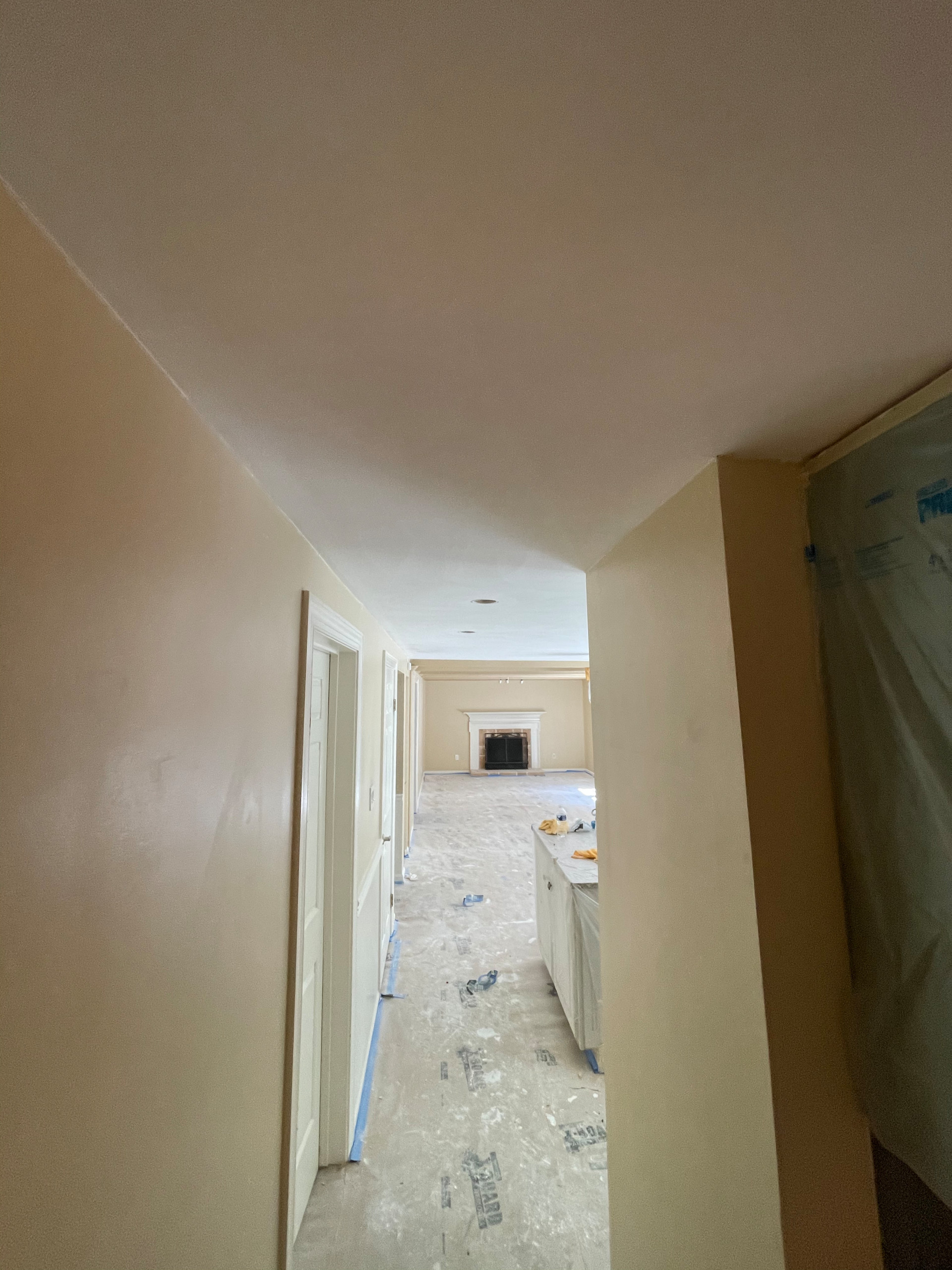 Popcorn ceiling removal and paint