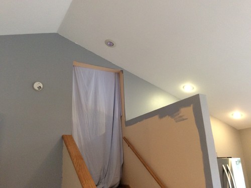 Need a true gray behr paint Need a true gray behr paint
