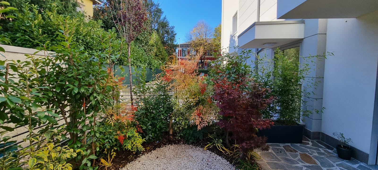 Giardinetto con siepe mista