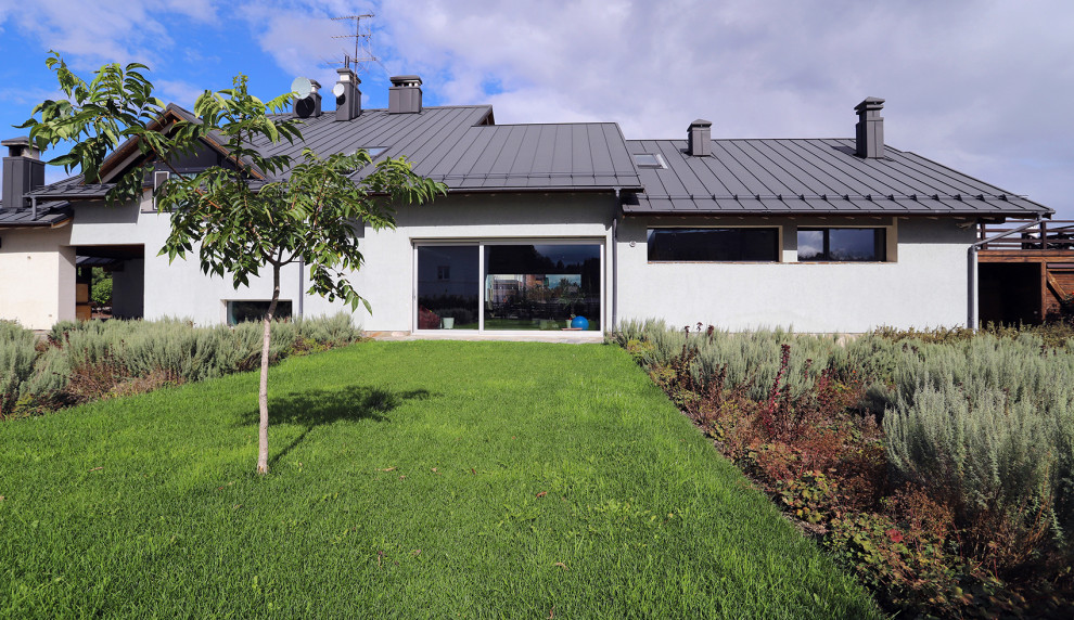 сад у стен цвета кладонии