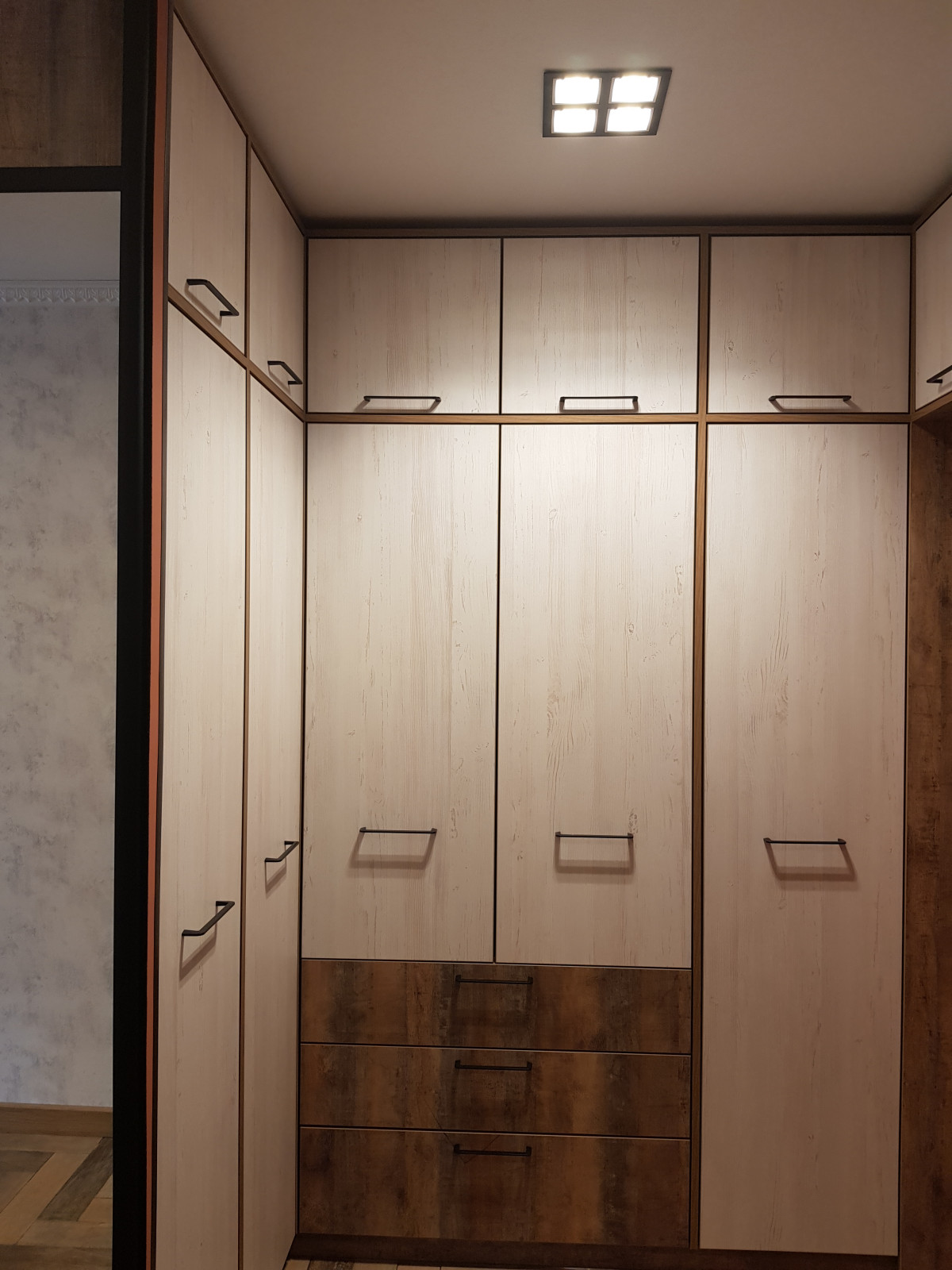 проект квартиры "Дикость_2020" прихожая и гардеробная