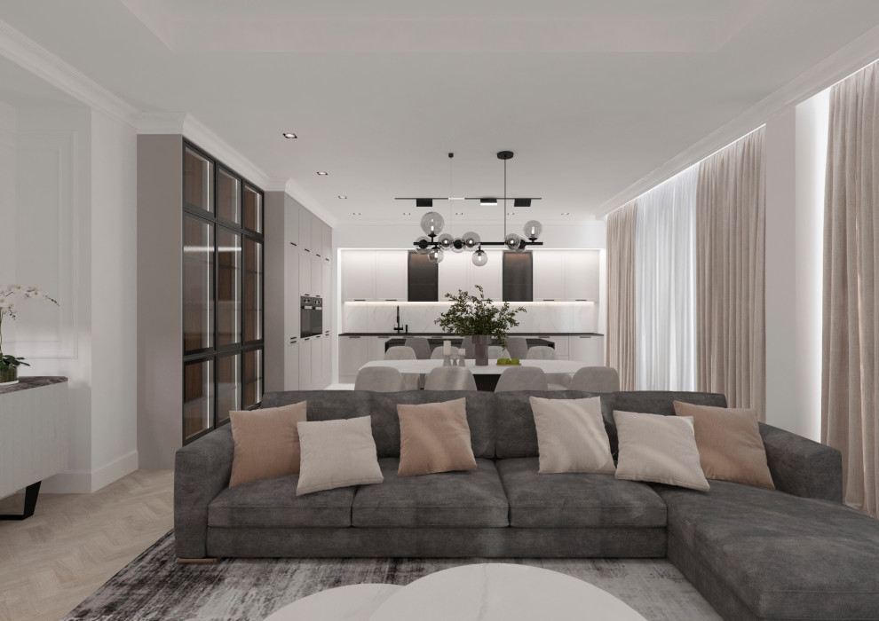 Гостиная-кухня-прихожая