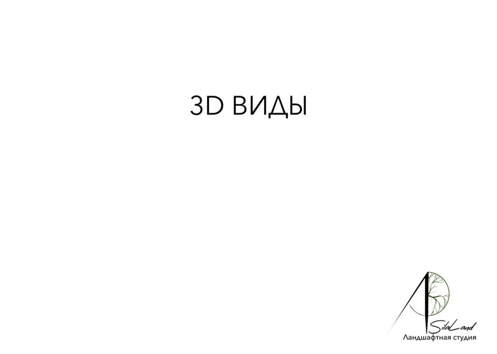 Солнце в кронах