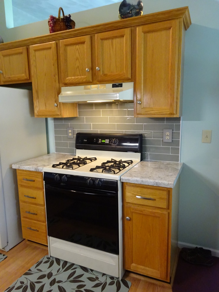 Transitional home design photo in Chicago