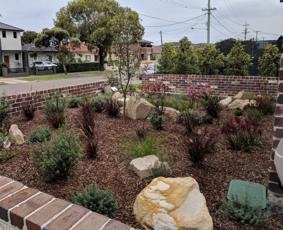 Mid-sized and australian native contemporary front yard full sun xeriscape in Sydney with with rock feature and brick pavers.