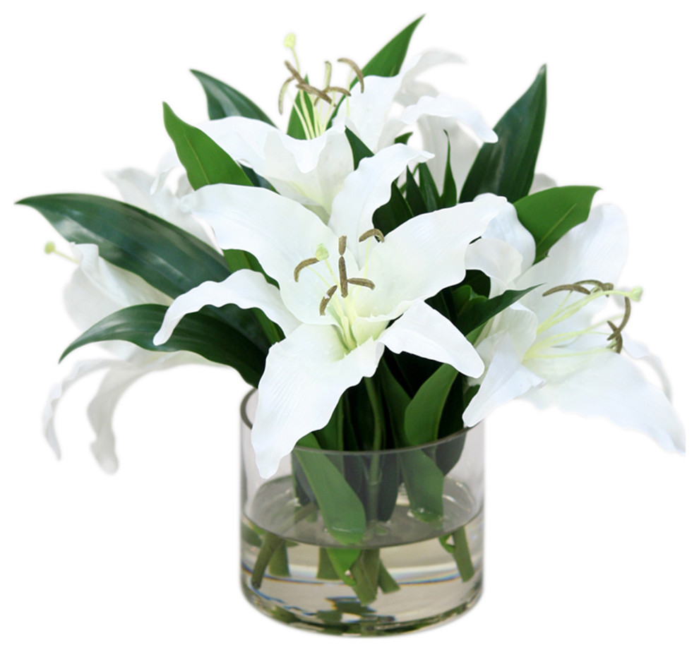 Waterlook® Cream-White Casablanca Lilies in Low Glass Cylinder