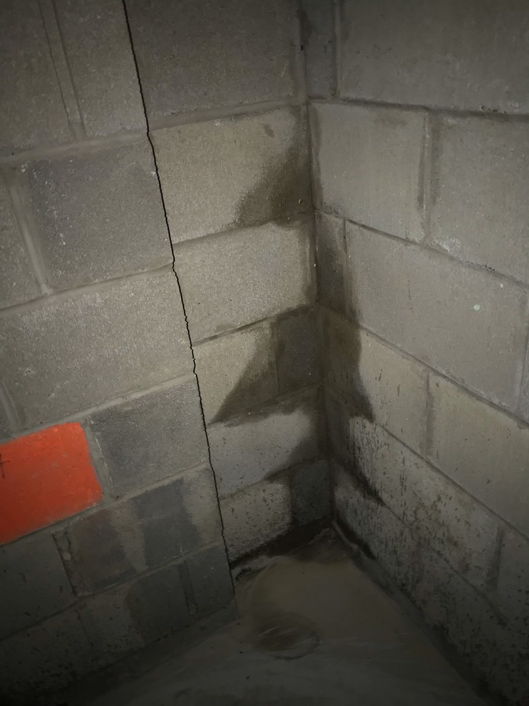 Wet Cinder Blocks in Garage
