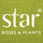 Star® Roses and Plants