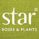Star® Roses and Plants