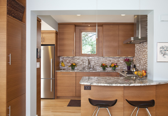 Contemporary Kitchen contemporary-kitchen