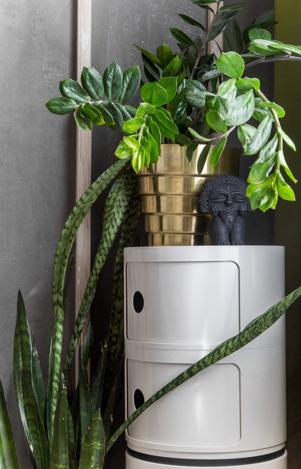 Green Mania Interior