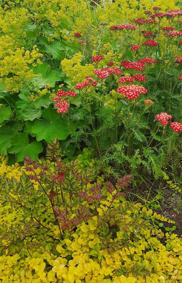 Реализация