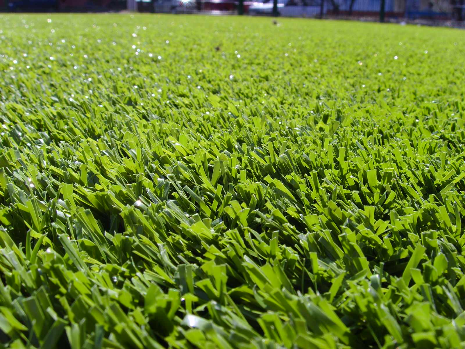 Спортивный газон