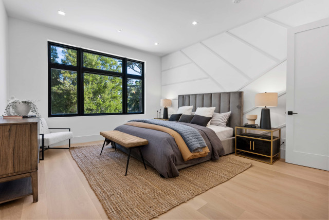 Master Bedroom trendy-sovevaerelse