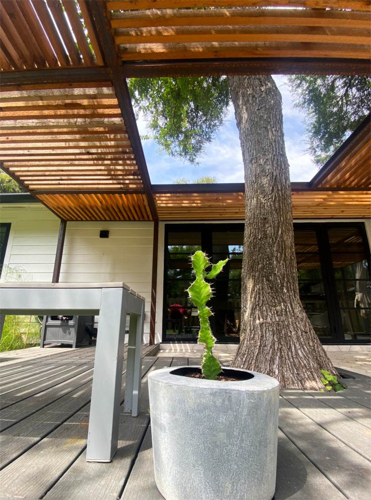 Kleiner Retro Garten hinter dem Haus mit Pergola, Dielen und Holzzaun in Austin