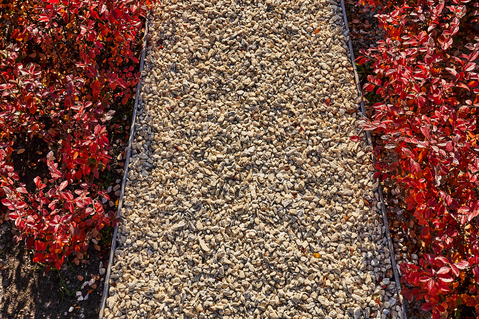 Озеленение промышленной территории