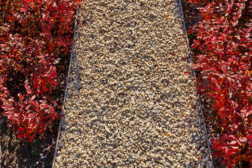 Озеленение промышленной территории