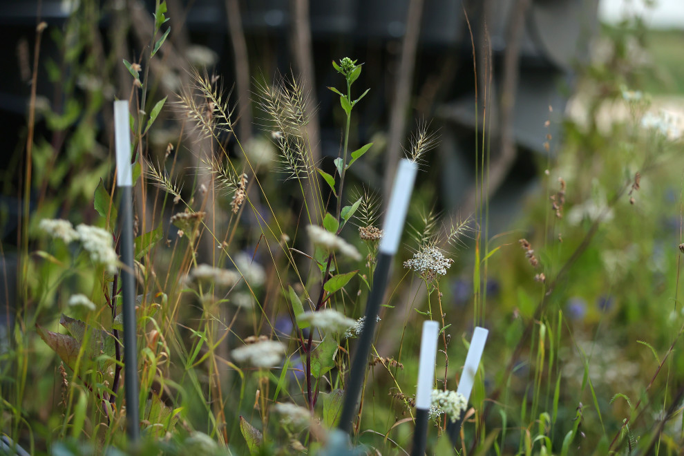 Сад "ГИПНОС" - ГРАН-ПРИ фестиваля "Сады и Люди"-2022