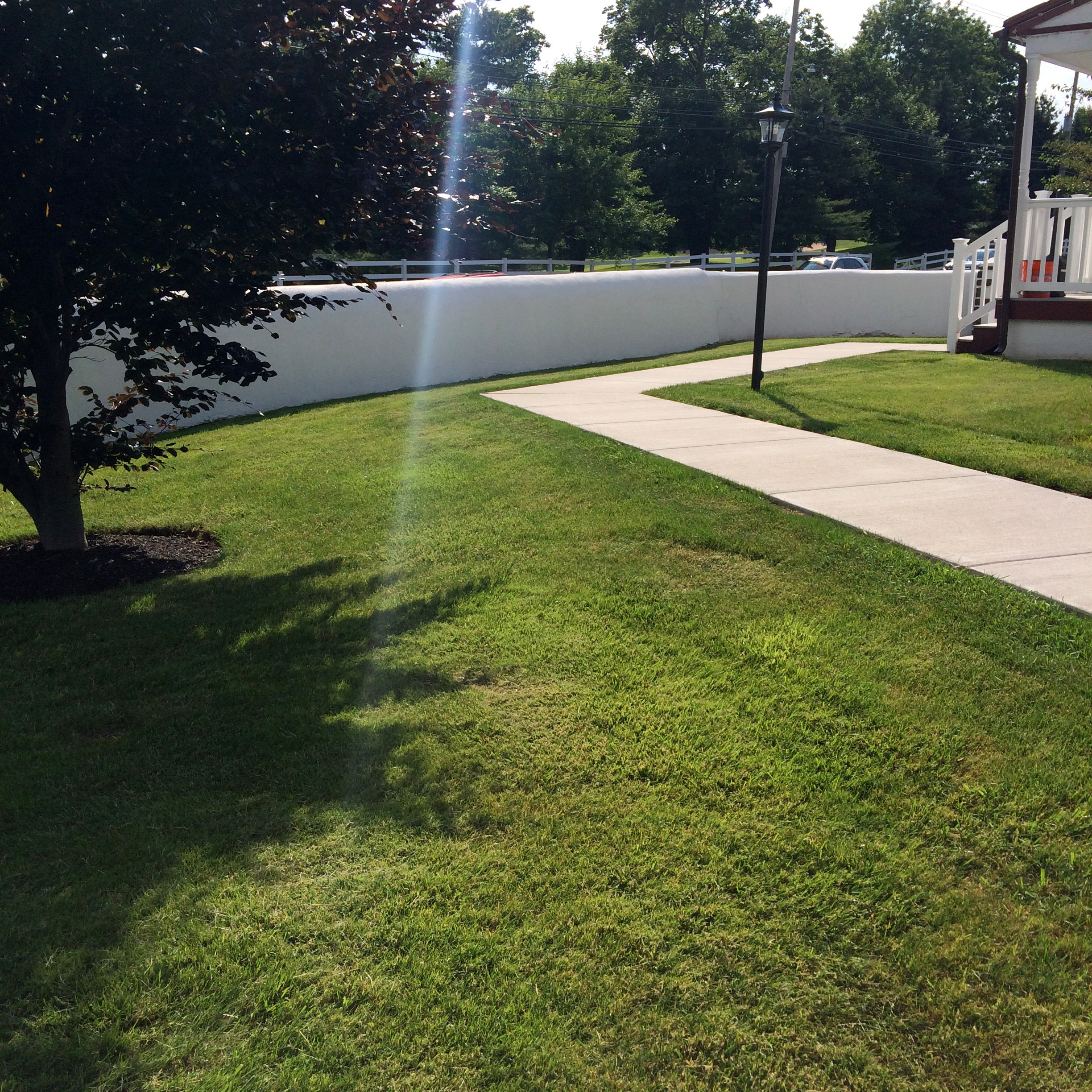 Normandy Farms- Blue Bell- Concrete Walkway
