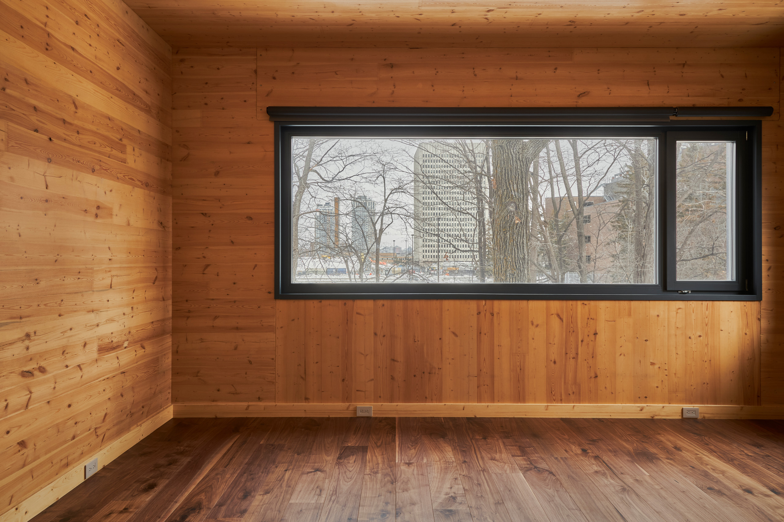 Cross Laminated Timber