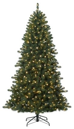 Wisconsin Fraser Fir Christmas Tree