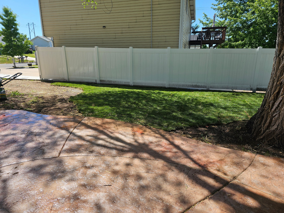 Backyard Transformation