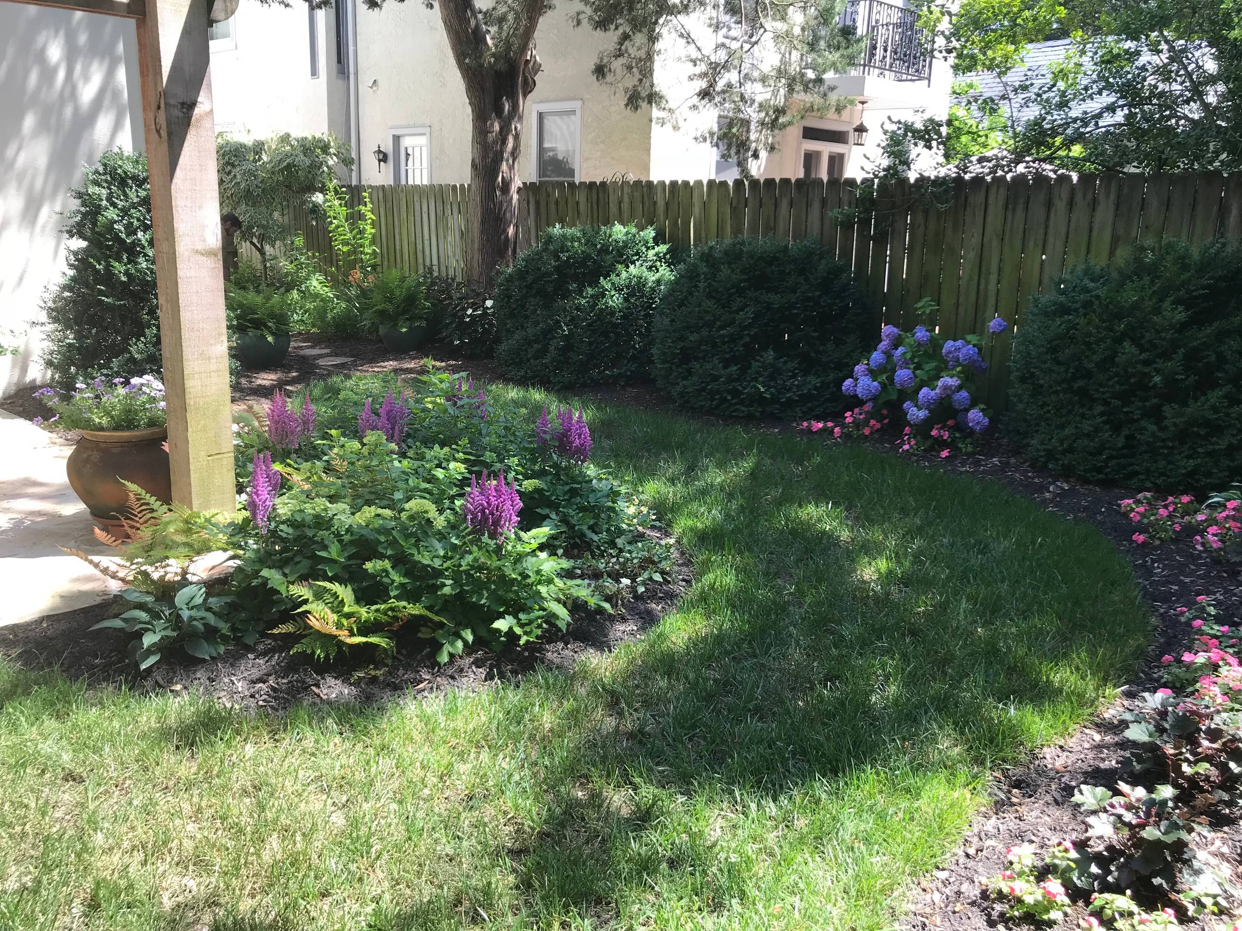 Shade Perennials