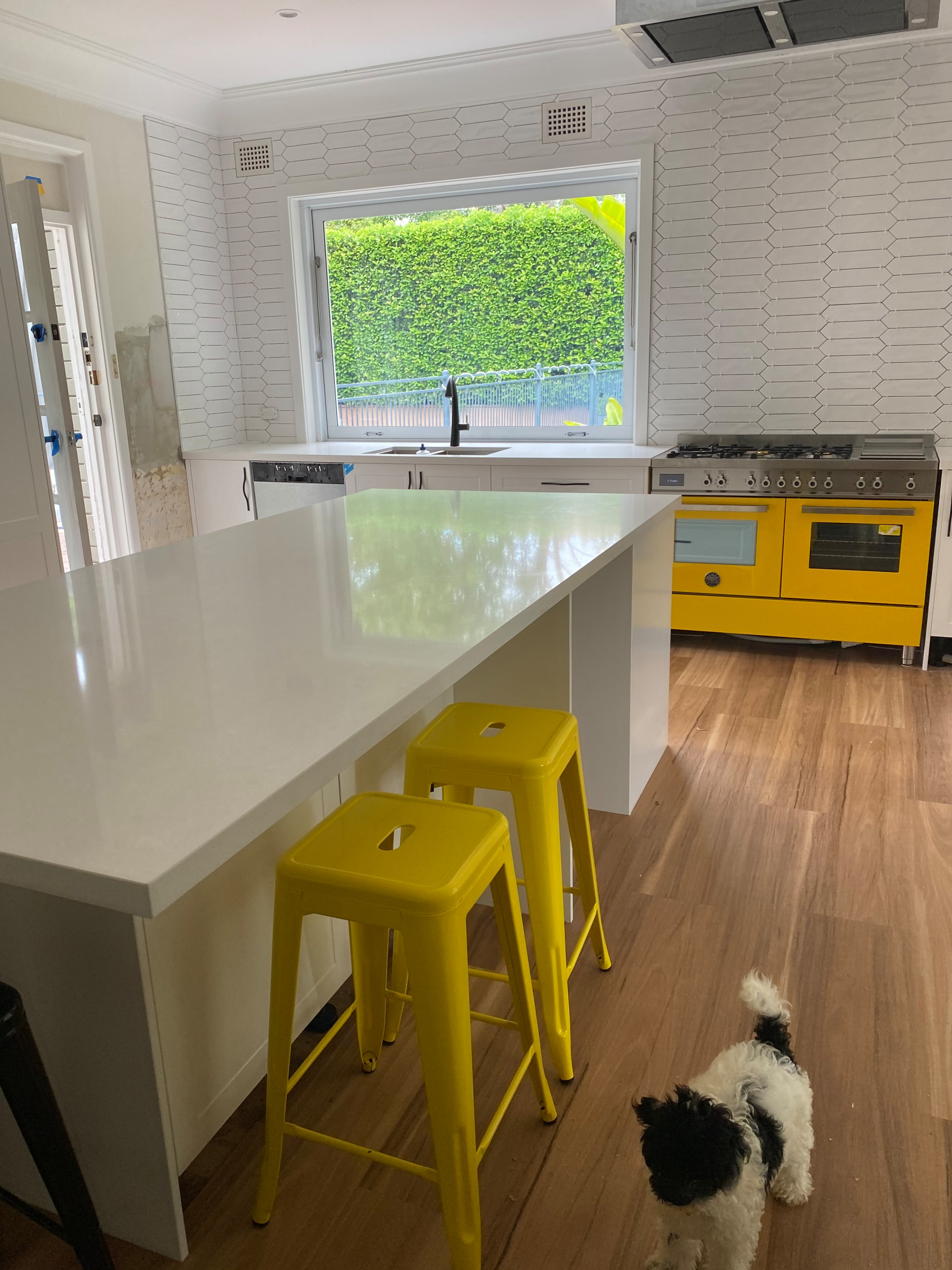 WE BOTH NOW WORK FROM HOME !