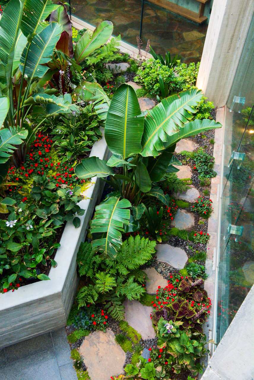 Tropical Modern Landscape