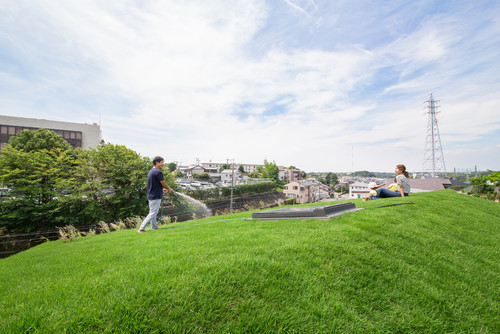 草屋根とは 専門家に聞く取り入れ方 Houzz ハウズ