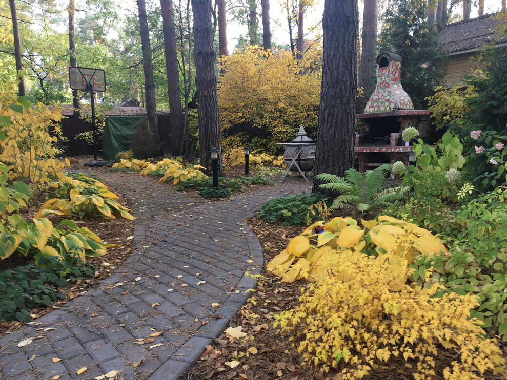 Белкин сад. Осень 2019