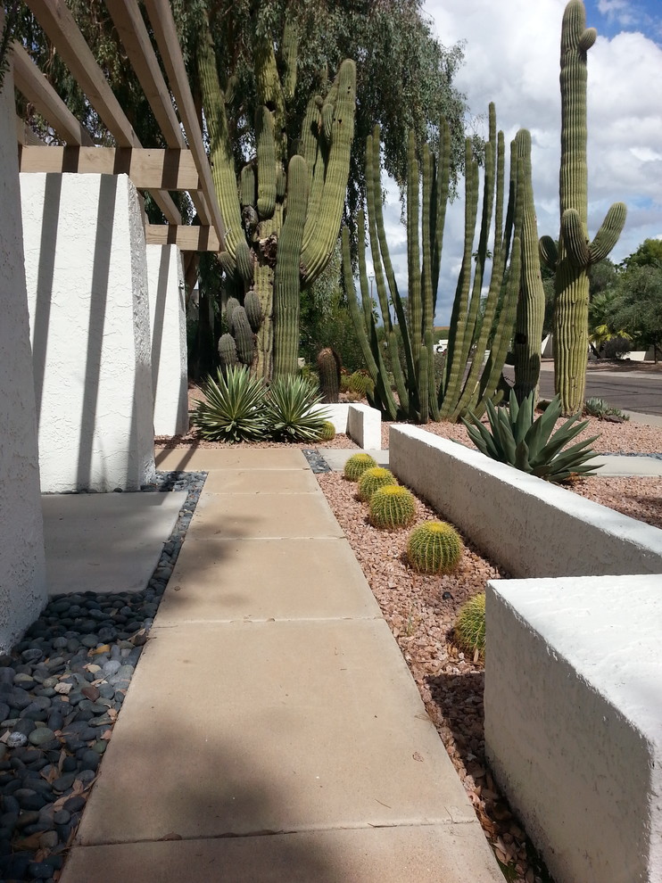 Design ideas for a midcentury garden in Phoenix.