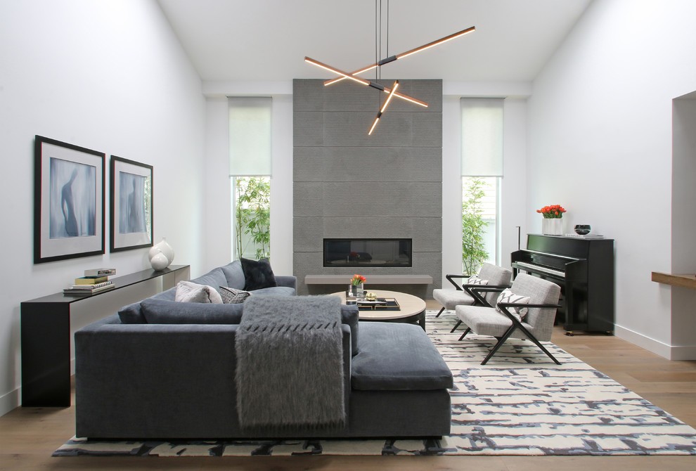 Design ideas for a contemporary living room in Los Angeles with grey walls, light hardwood floors and no fireplace.