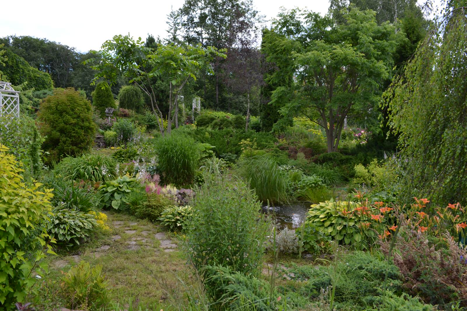 Сад  «Моя цветущая планета».