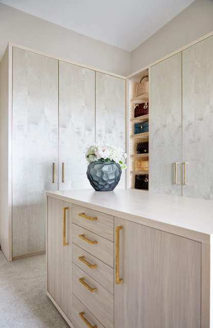 Nicoll Residence modern-ankleidezimmer