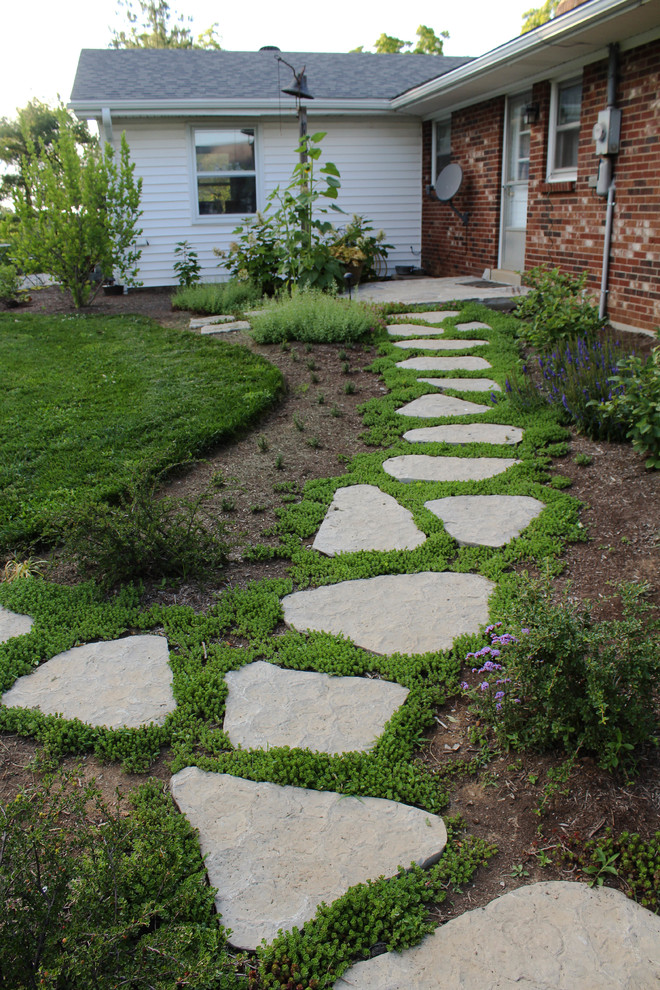 Photo of a mid-sized traditional backyard full sun garden in Other with a garden path and mulch.