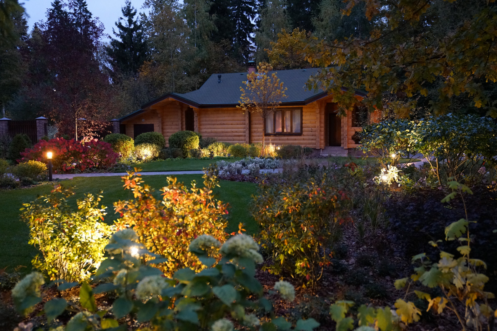 Круговорот  цвета. Дубровка 2021