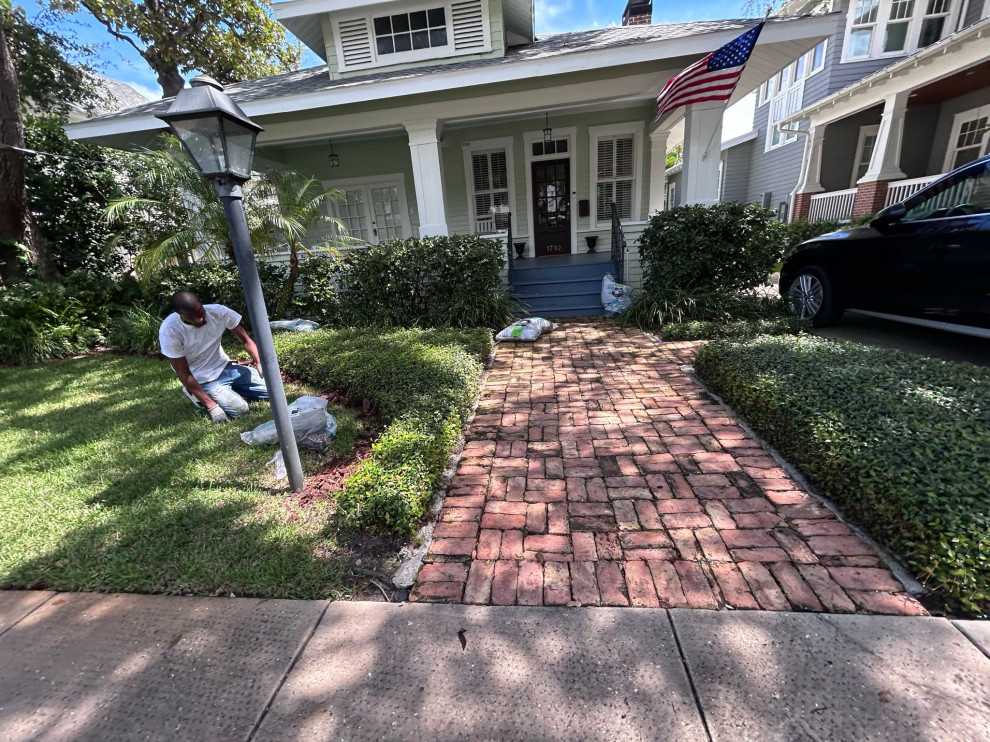 Front and Back Yard Landscape Renovation