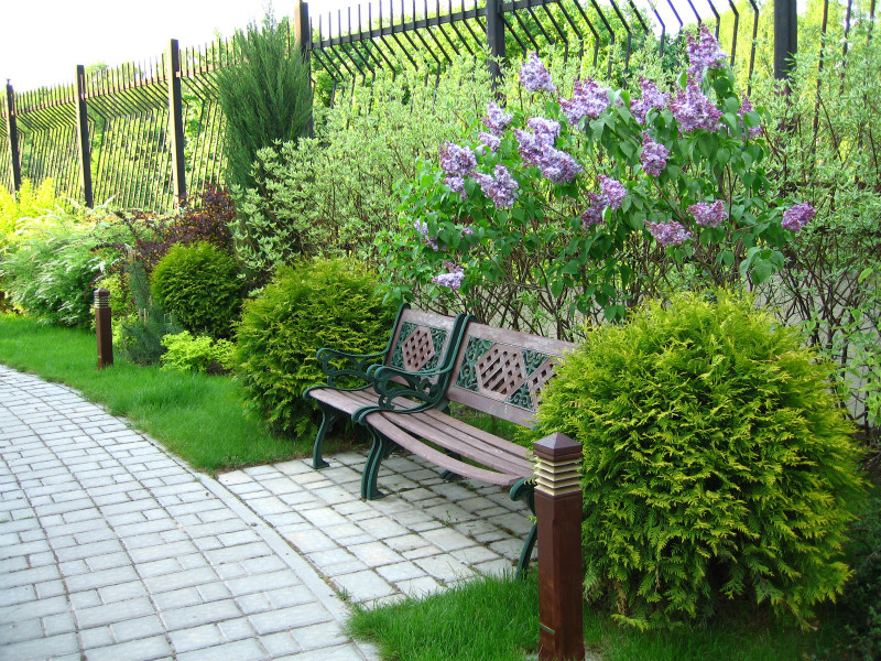 Озеленение небольшого участка