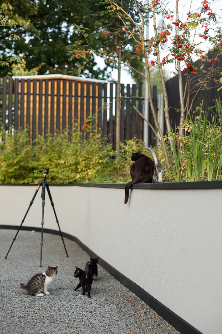 Бионический дом