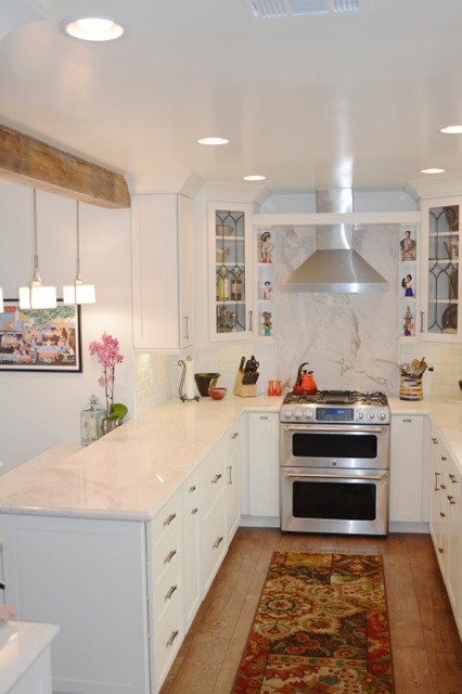 Inspiration for a transitional kitchen remodel in Los Angeles