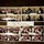 cathie_berrey_green