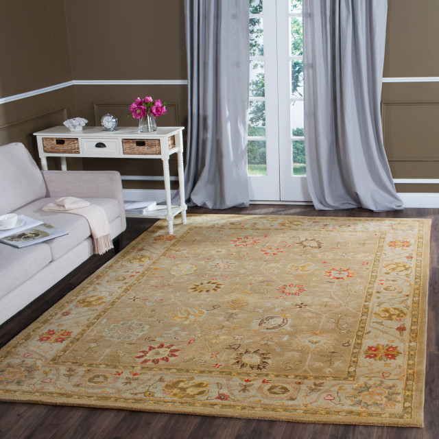 Safavieh Antiquity Collection AT859 Rug Traditional Area Rugs by