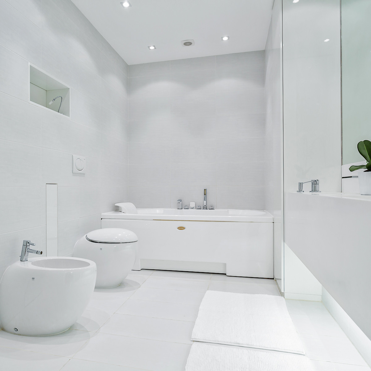 Проект в белом