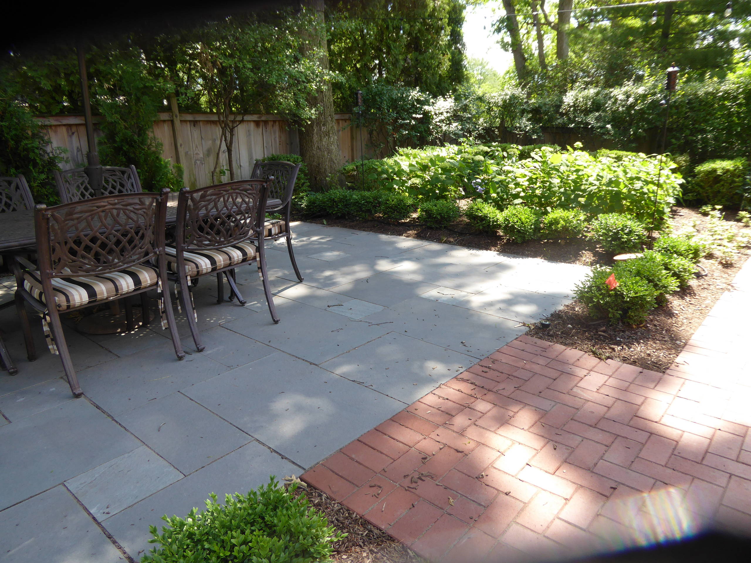Patio + Landscape