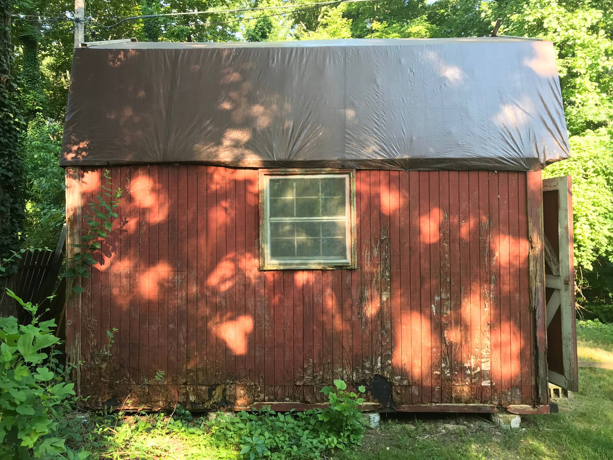 Shed Renovation Project